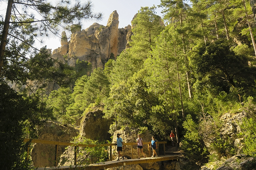 grupo de personas realizando ejercicio en la montaña en uno de los senderos de madrid