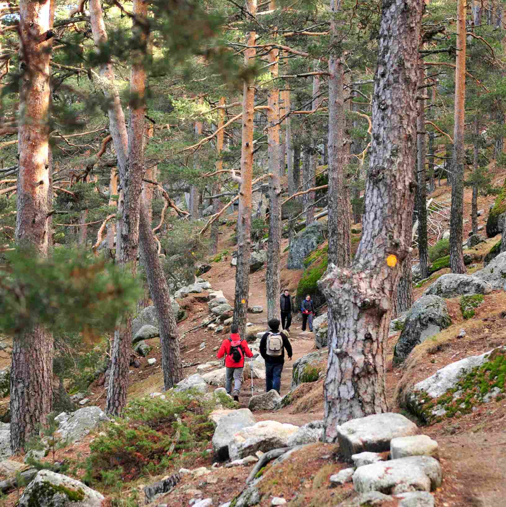 ruta senderismo camino schmid en madrid