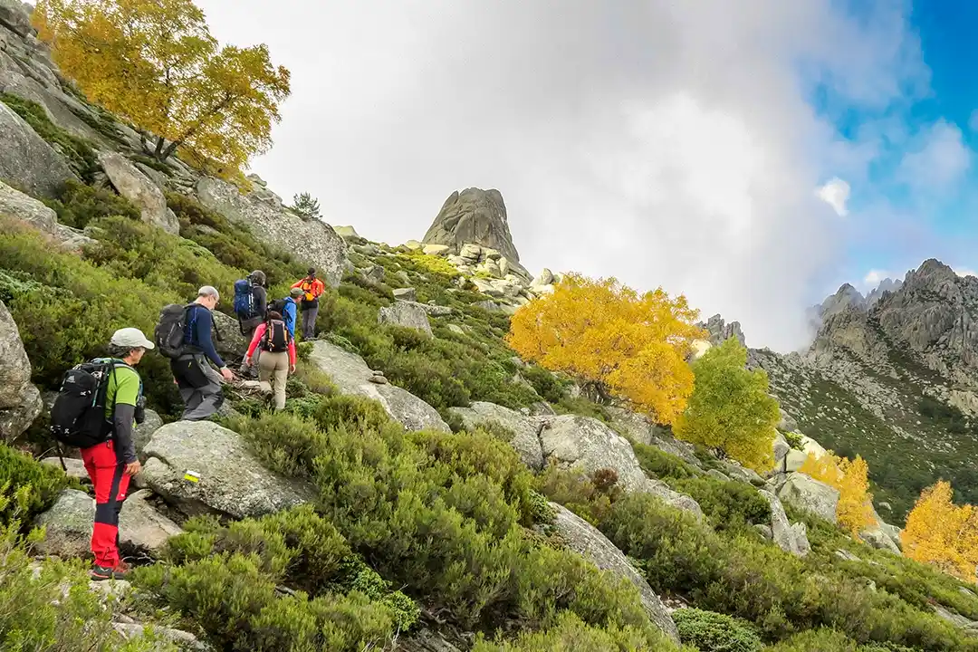 grupo de senderistas realizando el curso de senderismo en un sendero en las rutas de madrid