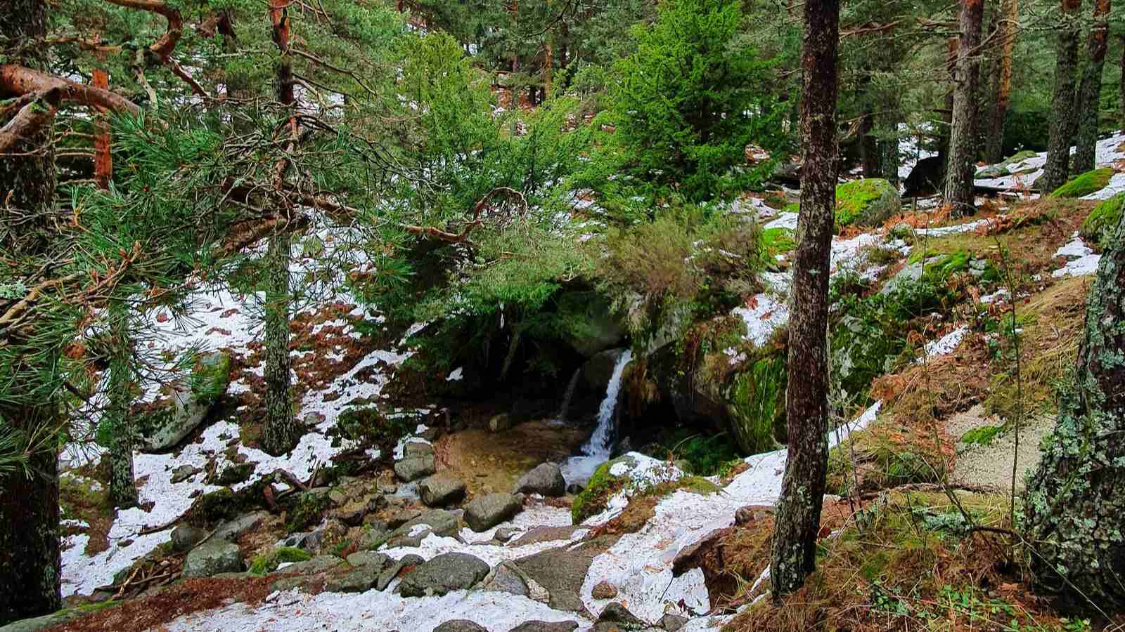 10.ruta-senderismo-das-madrid-collado-ventoso