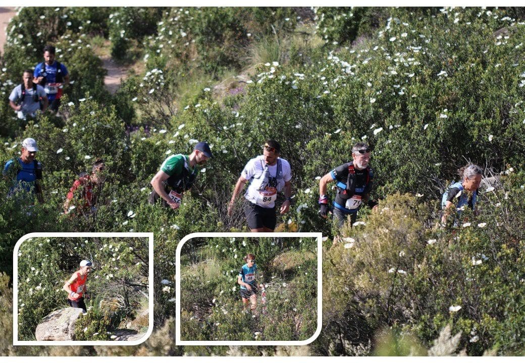 Montaje portada-La Pedriza -2024-min